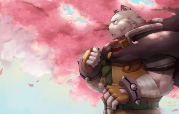 Bear, armor, anime, sakura, asian, manga, witch, japanese