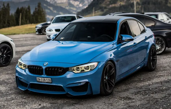 Auto, Blue, BMW, Machine, Cars, BMW M3, The front, Transport & Vehicles