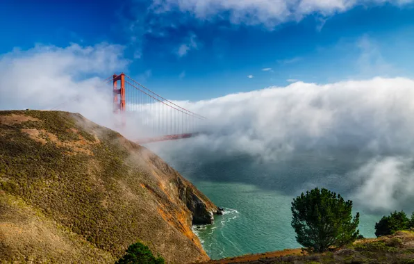 Clouds, bridge, fog, CA, San Francisco, Golden gate