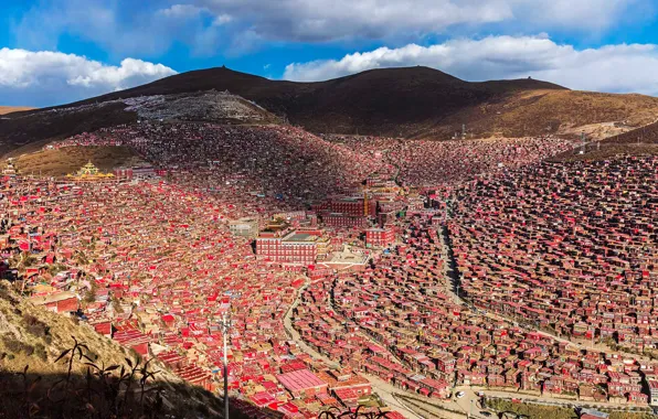 Picture landscape, home, China, Tibet, the monastery, Sichuan, Seda