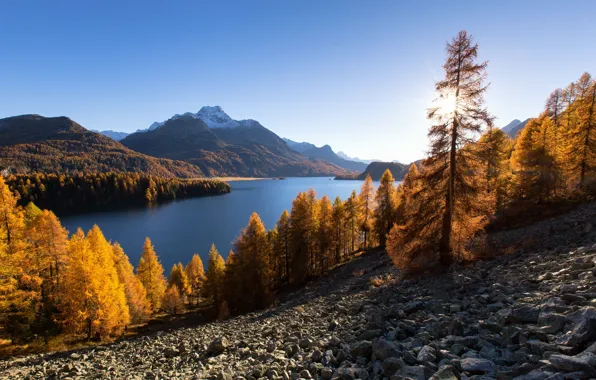 Autumn, trees, mountains, lake, Switzerland, Alps, Switzerland, Alps