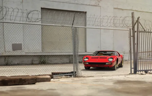 Picture Lamborghini, 1971, classic, Miura, Lamborghini Miura P400 SV