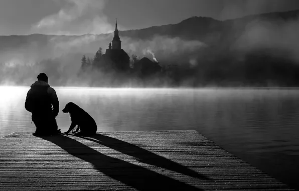 Picture Landscape, nature, photo, water, dog, monochrome, lake, fog