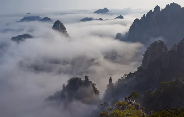 Picture the sky, clouds, trees, mountains, nature, fog, rocks