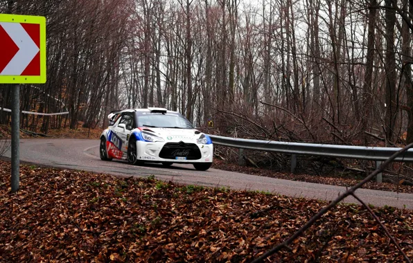 Car, forest, road, rally, citroen, spring