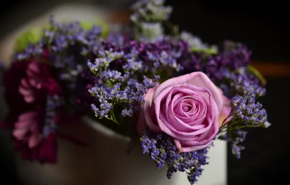 Rose, focus, blur