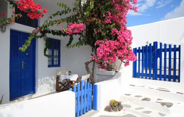 Flowers, gate, Santorini, Greece, House, wicket, Flowers, Santorini