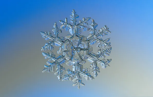 Ice, winter, pattern, snowflake, symmetry