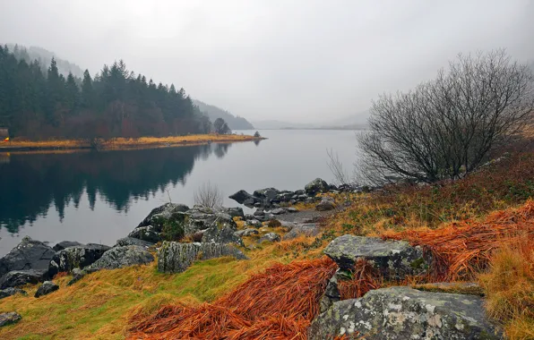 Picture autumn, the sky, grass, landscape, mountains, fog, lake, stones