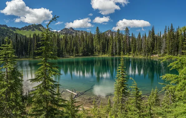 Forest, mountains, lake, ate, Washington, Mount Rainier National Park, National Park mount Rainier, The cascade …