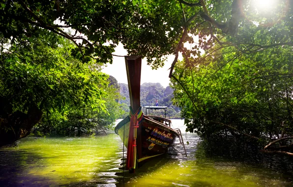 Water, trees, boat, Thailand, jugnle