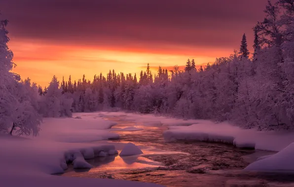 Winter, sunset, the evening