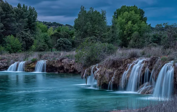 Summer, the sky, grass, trees, river, thickets, shore, vegetation