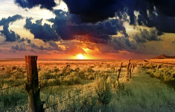 Picture field, the sun, clouds, The fence