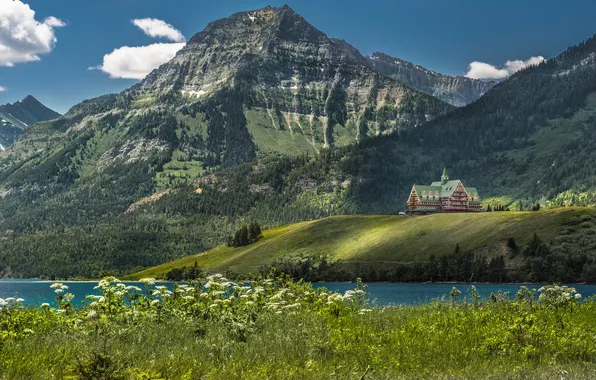 The sky, clouds, flowers, mountains, lake, Canada, Albert, National Park Waterton lake