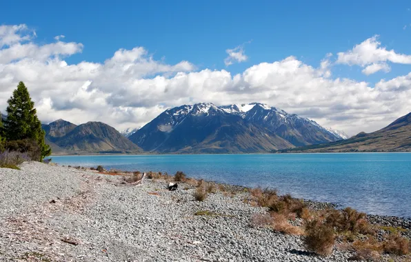The sky, clouds, snow, mountains, lake, river, tree, new zealand