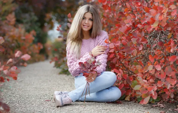 Autumn, girl, sitting, the bushes