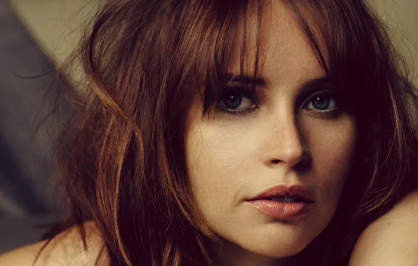 Look, face, portrait, makeup, actress, hairstyle, closeup, Felicity Jones