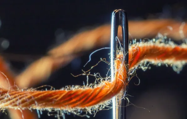 Macro, thread, needle