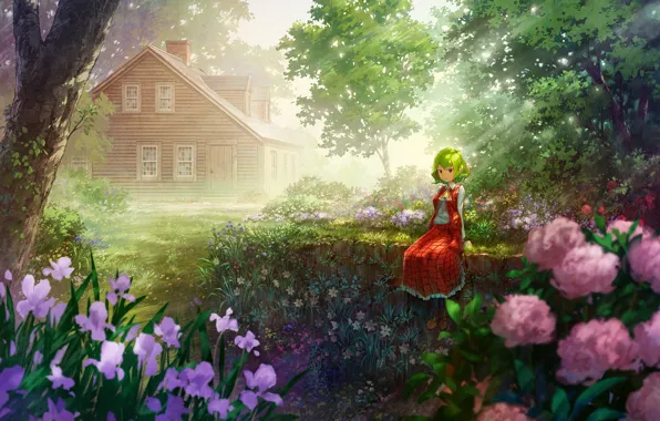 Kazami yuuka, Touhou, miso pan