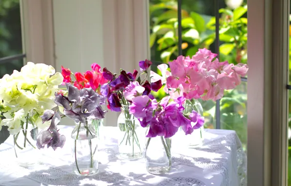 Flowers, Wallpaper, vase, gillyflower