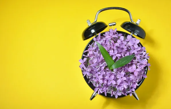 Flowers, yellow, background, arrows, watch, minimalism, petals, alarm clock