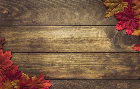 Autumn, leaves, background, colorful, wood, background, autumn, leaves