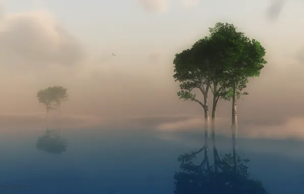 The sky, clouds, trees, landscape, nature, fog, lake