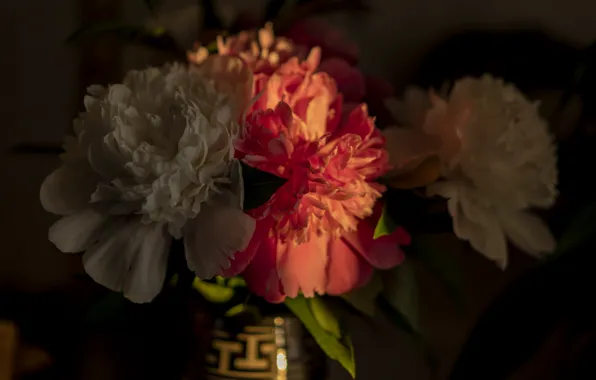 Light, twilight, vase, peonies, sleepy