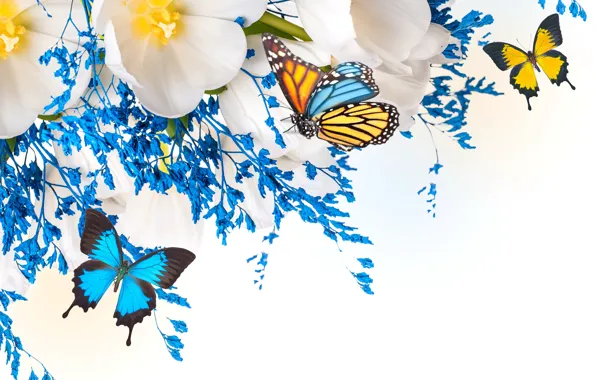 Picture flowers, collage, butterfly, wings, petals, tulips, moth