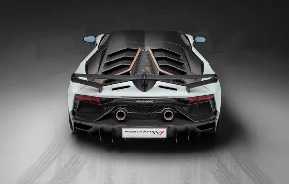 Lamborghini, supercar, rear view, 2018, Aventador, Aventador SVJ, The CONDOMINIUM 63