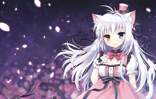 Petals, girl, kitty