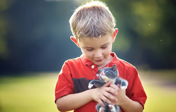 Picture boy, kitty, friends, baby