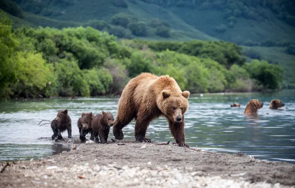 Summer, children, river, hills, shore, slope, baby, bear