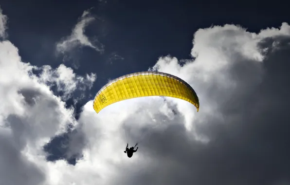 Sport, flight, Paraglider