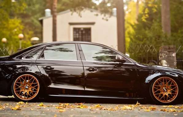Picture autumn, leaves, Audi A4 B8