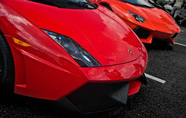 Orange, red, Lamborghini, gallardo, aventador, Lamborghini, aventador, Super Trofeo Stradale
