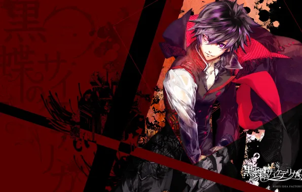 Look, weapons, background, art, guy, Black Butterfly