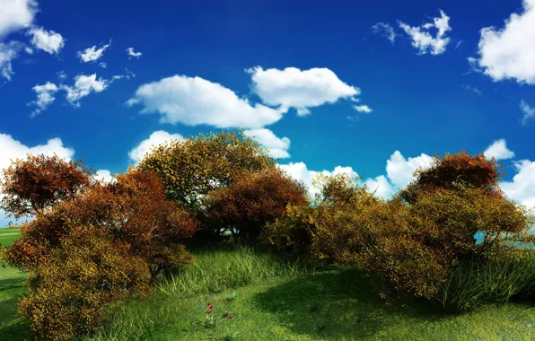 Greens, the sky, clouds, Bush