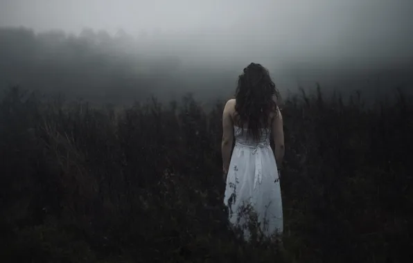 Field, forest, girl, branches, fog, mood, thickets, white