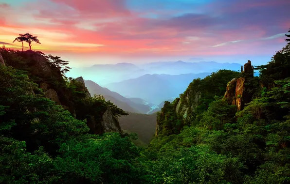 Picture forest, the sky, clouds, trees, landscape, sunset, mountains, nature