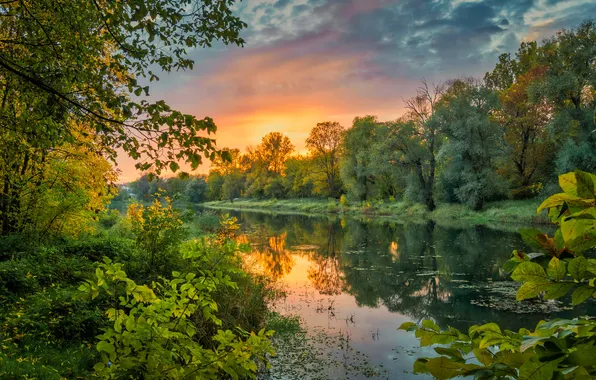 Picture forest, trees, sunset, nature, reflection, river