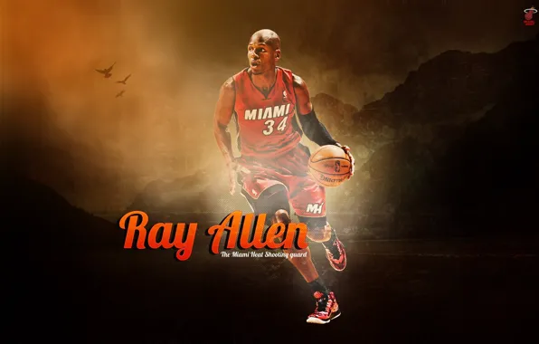 Picture The ball, Sport, Basketball, Background, NBA, Miami Heat, Player, Ray Allen