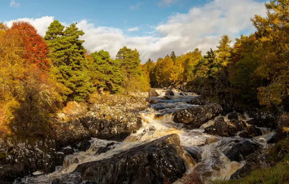 Picture autumn, forest, the sun, clouds, trees, river, stones, Scotland