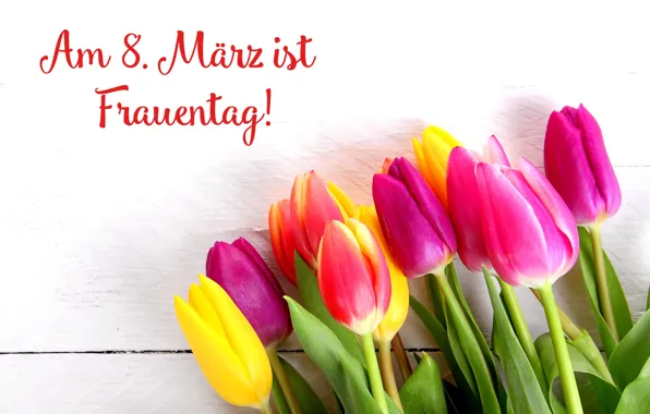 Flowers, holiday, bouquet, tulips, March 8, women's day