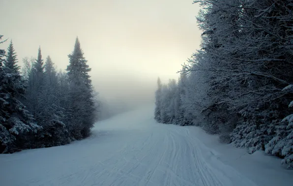 Winter, snow, fog, ate