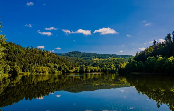 Forest, lake, reflection, Germany, Germany, Baden-Württemberg, Baden-Württemberg, lake Elstow