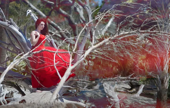 Picture girl, nature, background