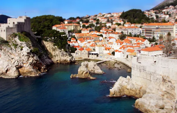 Sea, trees, rocks, coast, roof, houses, town, tilt shift