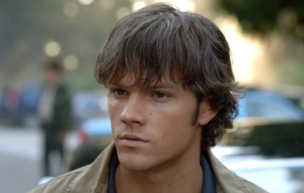 Actor, male, the series, supernatural, Sam, supernatural, Jared Padalecki, Over The Padalecki Jared
